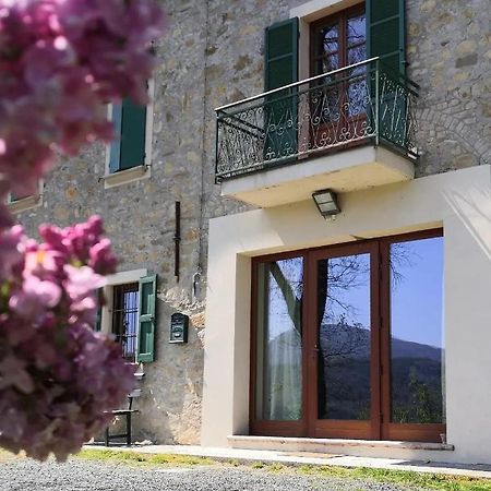 B&B Demetra Solignano Экстерьер фото